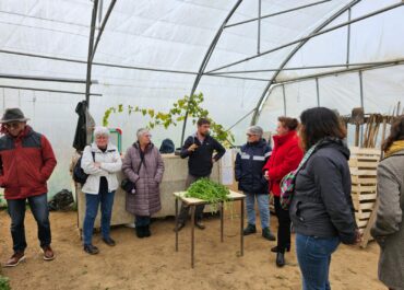 Initiative Territoire Zéro Chômeurs de longue durée - Saint-Thégonnec-Loc-Éguiner