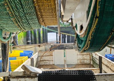 Pour une pêche française résiliente : urgence à agir pour sauver une filière stratégique