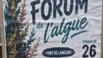 algue